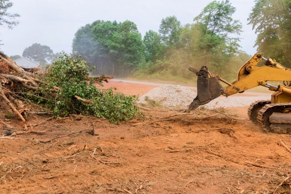 Ground Clearing in Placerville