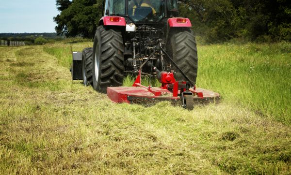 Brush Clearing Service in Placerville