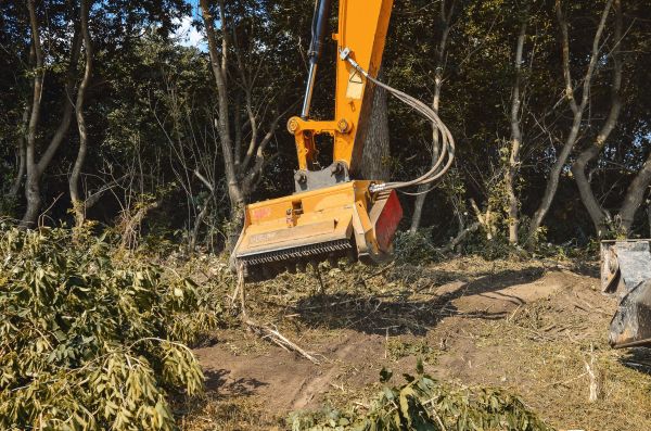 Brush Removal Service in Placerville