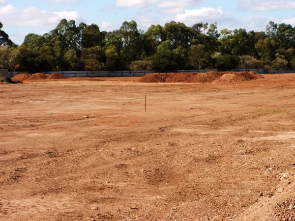 Cost of Field Clearing in Placerville