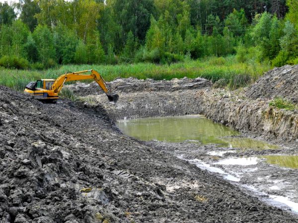 Cost of Lake Lot Clearing in Placerville