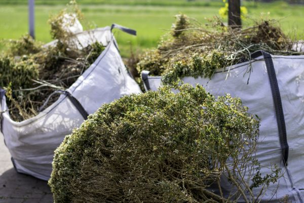 Cost of Bushes Clearing in Placerville