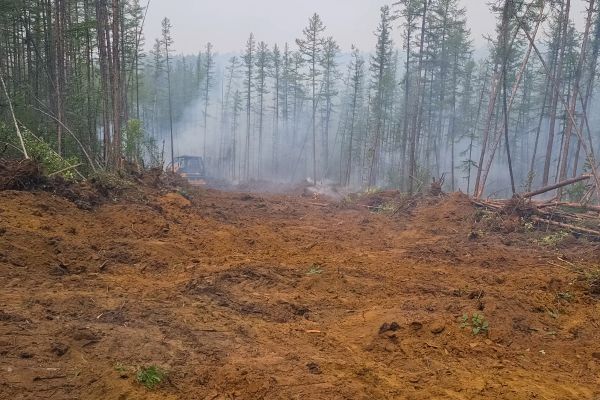 Cost of Hill Clearing in Placerville