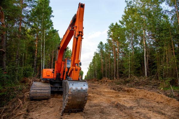 Cost of Backhoe Land Clearing in Placerville