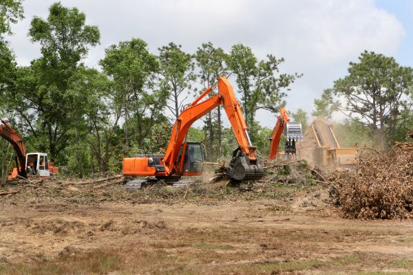Cost of Commercial Lot Clearing in Placerville